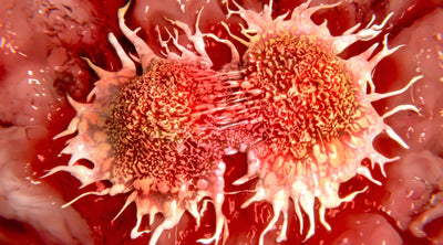 Breakthrough LED Light Therapy Study Targets Killing Cancer Cells!