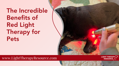 The Incredible Benefits of Red Light Therapy for Pets