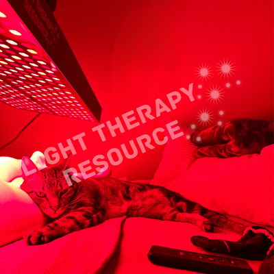 Cat lying under a red and infrared light therapy panel on a bed.