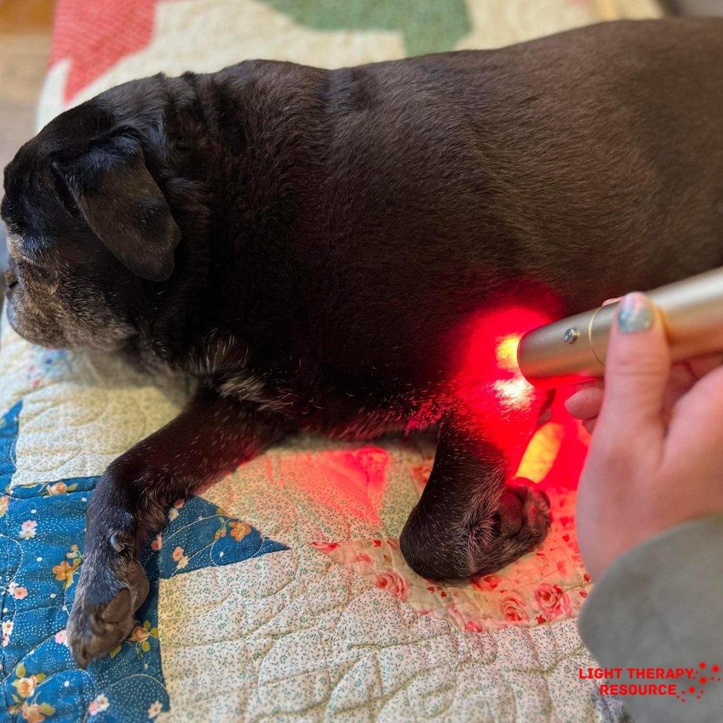 Red Light Therapy Handheld Torch, Red, Infrared, Blue, pulsing light. 3 minute timer. Travel case, extra battery.